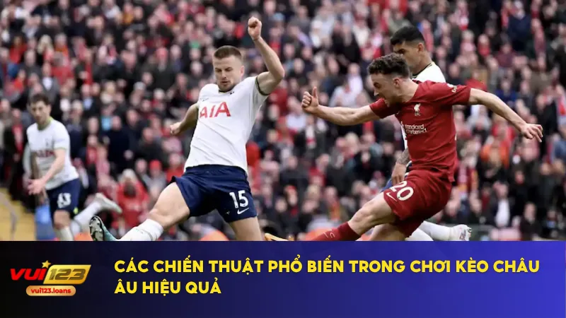 Kèo Châu Âu Tại Vui123 Giúp Người Mới Dễ Dàng Thắng Cược 2 Chiến thuật đúng giúp tăng cơ hội thắng kèo châu Âu