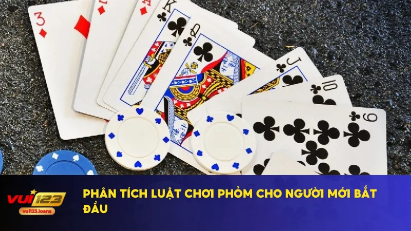 Cách Chơi Bài Phỏm Và Mẹo Ăn Bài Chuẩn Xác Từ Cao Thủ 2 Cách chơi bài phỏm chuẩn giúp người mới nhanh nắm luật