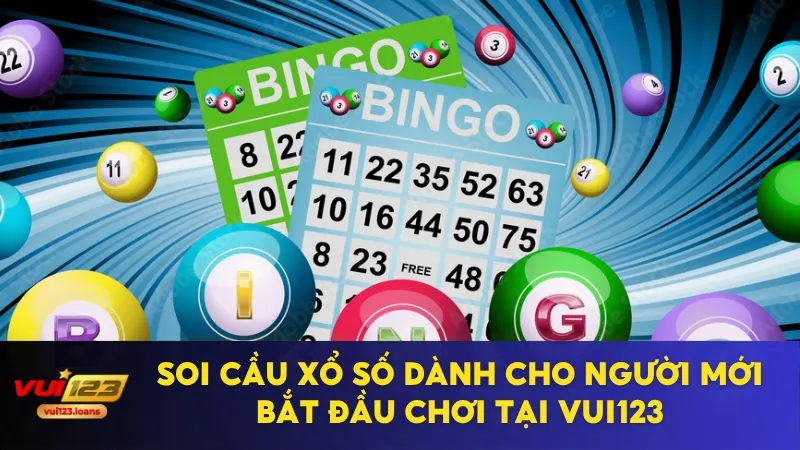 Soi Cầu Xổ Số Dành Cho Người Mới Bắt Đầu Chơi Tại Vui123 1 soi cầu xổ số