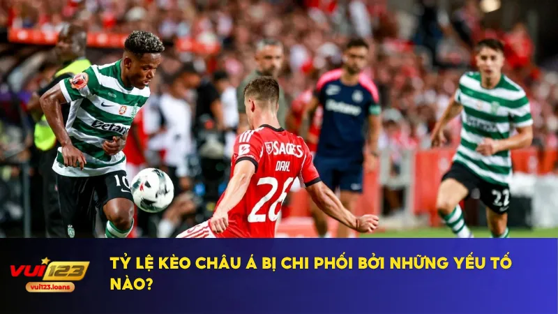 Kèo Châu Á - Lựa Chọn Hàng Đầu Của Dân Cá Cược Chuyên Nghiệp 3 Phong độ đội bóng là chỉ số quan trọng nhất khi nhà cái ra kèo