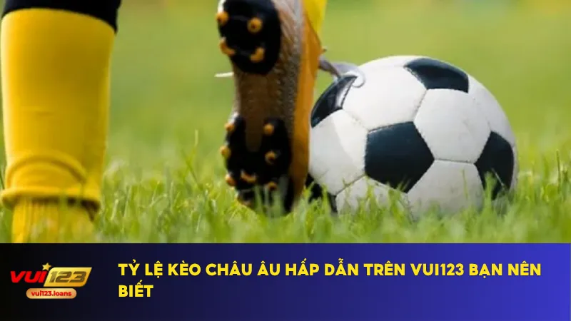 Kèo Châu Âu Tại Vui123 Giúp Người Mới Dễ Dàng Thắng Cược 4 Luôn cân nhắc kỹ lưỡng khi đặt cược vào các kèo hòa hoặc cửa dưới