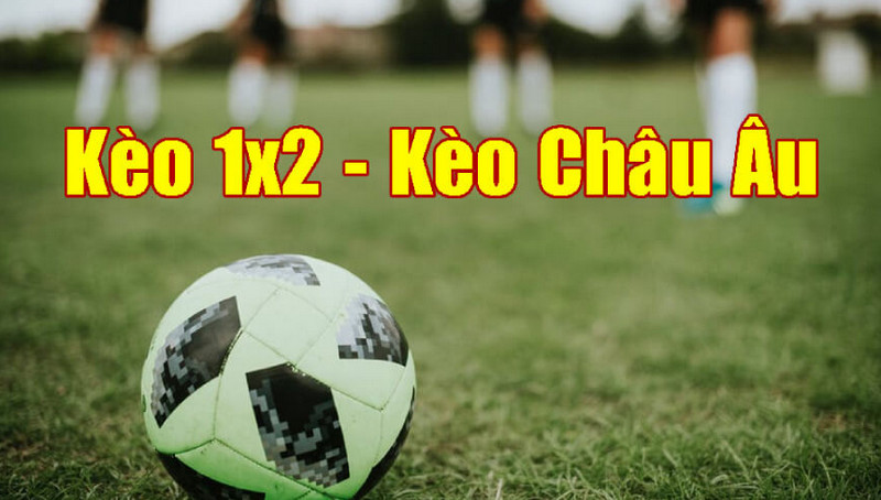 Học bí kíp để đọc kèo 1x2 càng thêm chuẩn